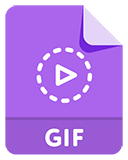 GIF Converter